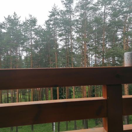 Apartman Nele Zlatibor Extérieur photo