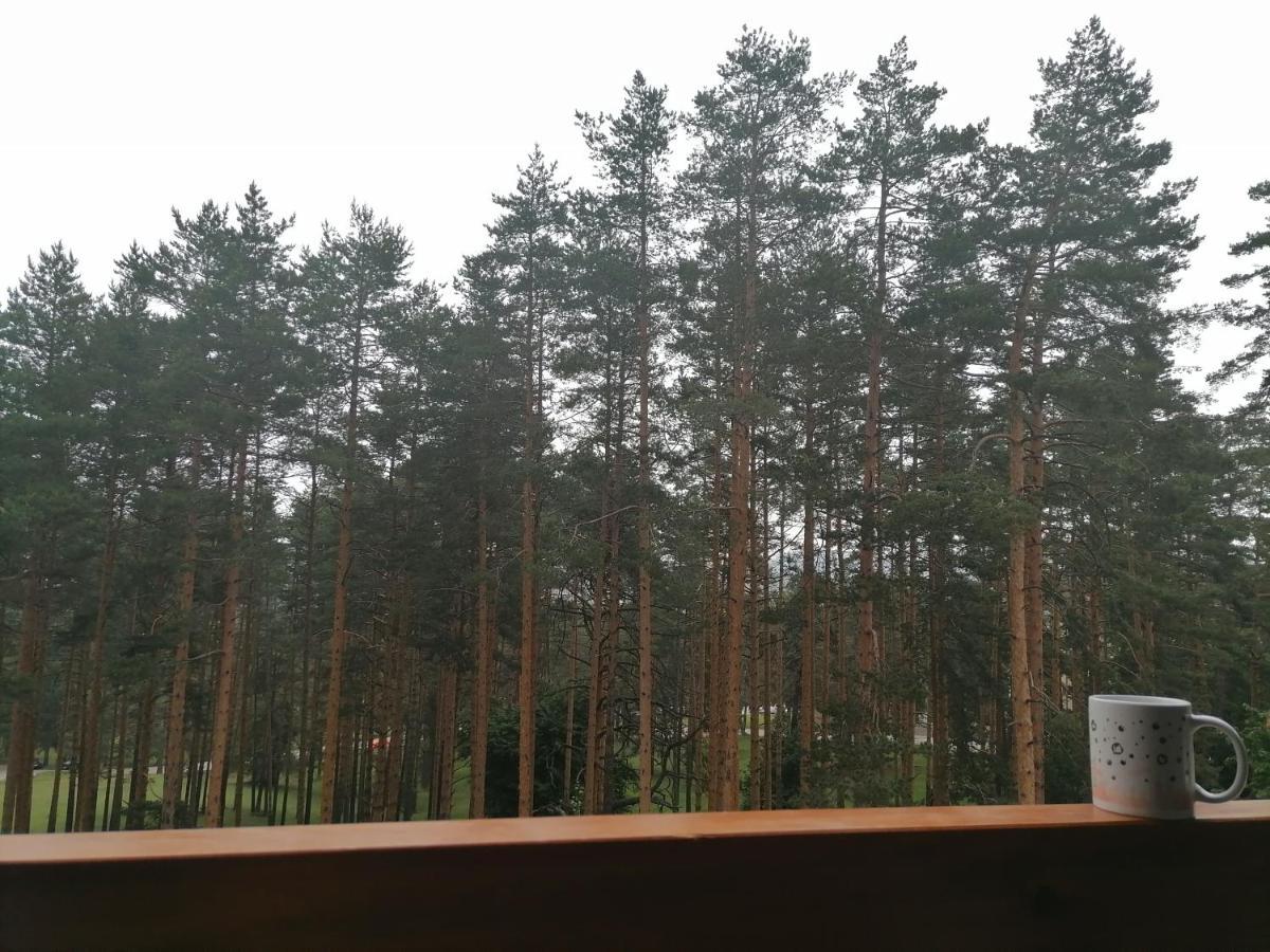 Apartman Nele Zlatibor Extérieur photo
